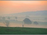 Misty Morning Photograph by Iain Corkett